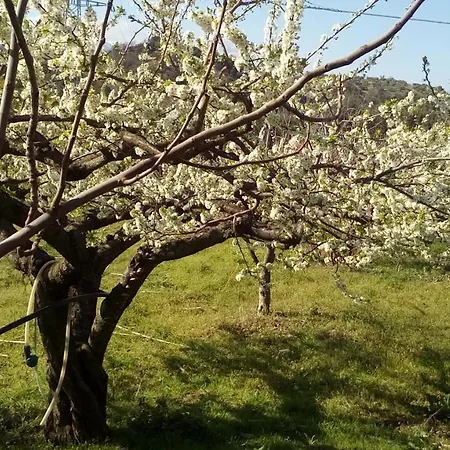 Casa Breda Country house Cugnoli
